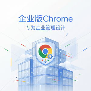 谷歌浏览器下载 - Chrome浏览器下载搜索加密